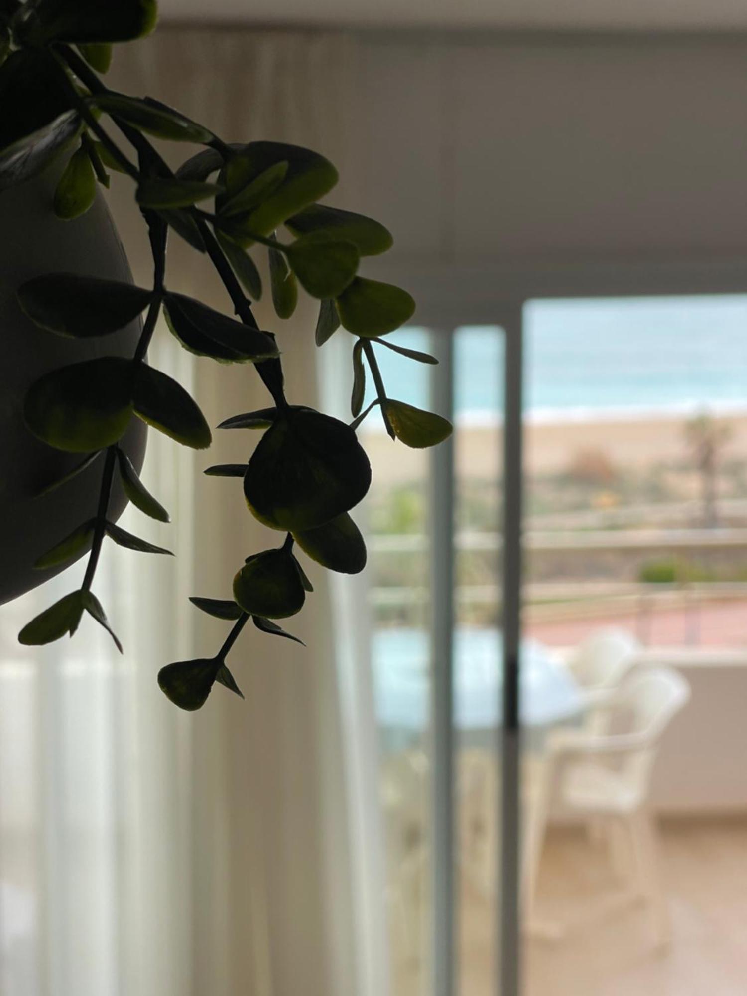 Penismar 67 Apartment เพนิสโคลา ภายนอก รูปภาพ